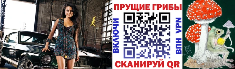 Купить  Невельск  Псилоцибиновые грибы GOLDEN TEACHER 
